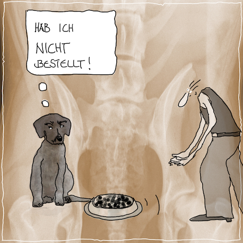 Cartoon: hab ich nicht bestellt (medium) by kika tagged hund,betteln,fressen,fressnapf
