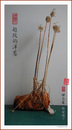 Cartoon: entflohene zwiebeln (small) by zenundsenf tagged zwiebeln china onions zenundsenf