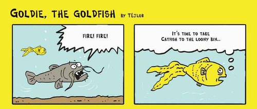 Cartoon: Goldie the goldfish (medium) by tejlor tagged goldfish