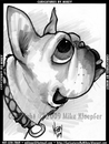 Cartoon: Mikey_MBulldogBoullion (small) by mikeyzart tagged bulldog,dog,cartoon,caricature,marker
