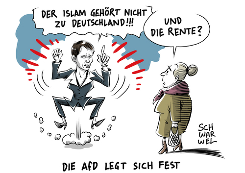 AfD Parteitag