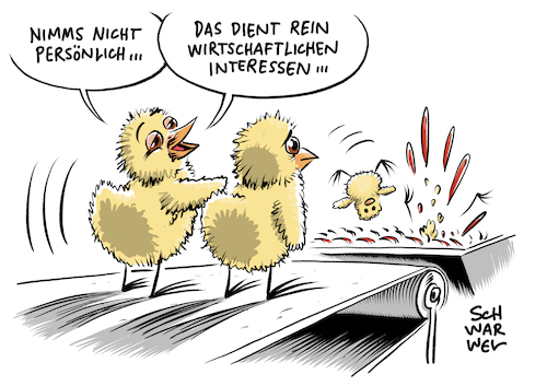 Cartoon: Kükenschreddern (medium) by Schwarwel tagged kükenschreddern,küken,tierschutz,tierquälerei,tiere,nahrungsmittel,fleischkonsum,flsich,lebensmittel,nahrung,wirtschaft,massenhaftes,töten,tötung,vegan,veganismus,vegane,ernährung,fleischfresser,geflügelwirtschaft,geflügel,landwirtschaft,legehennenzucht,tierschutzgesetz,kükentöten,mast,bundeslandwirtschaftsministerin,julia,klöckner,eier,cartoon,karikatur,schwarwel,kükenschreddern,küken,tierschutz,tierquälerei,tiere,nahrungsmittel,fleischkonsum,flsich,lebensmittel,nahrung,wirtschaft,massenhaftes,töten,tötung,vegan,veganismus,vegane,ernährung,fleischfresser,geflügelwirtschaft,geflügel,landwirtschaft,legehennenzucht,tierschutzgesetz,kükentöten,mast,bundeslandwirtschaftsministerin,julia,klöckner,eier,cartoon,karikatur,schwarwel