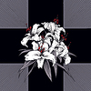Cartoon: Lilie (small) by Schwarwel tagged schwarwel,lilie,blume,weiß,schwarz,liebe,tod,kreuz,pflanze,symbol,reinheit,schönheit,duft,hera,aphrodite