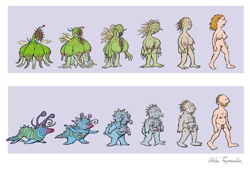 Cartoon: Evolution of Man and Woman (medium) by etc tagged men,women,alien,evolution