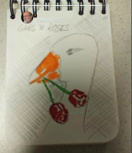 Cartoon: Gans n Roses (medium) by manfredw tagged rosen,gans,musik,bewundern