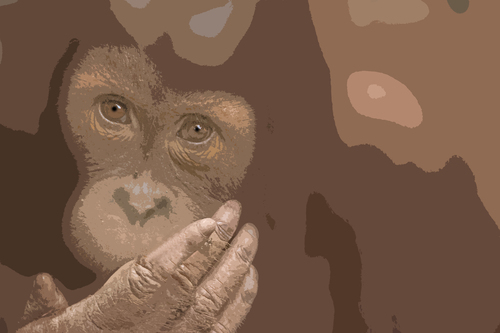 Cartoon: monkey (medium) by Peter Losch tagged tiere,affen,natur,verhalten,mensch,evolution