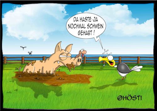 Cartoon: Höstis Emma und Konsorten (medium) by Hösti tagged hösti,cartoons,hoesti,stephan,höstermann,emma,und,konsorten,möwe