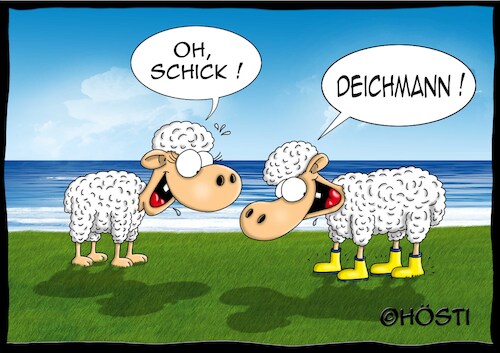 Cartoon: Schick (medium) by Hösti tagged höstis,voll,schaaf