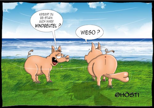 Cartoon: Windbeutel (medium) by Hösti tagged höstis,schweinereien