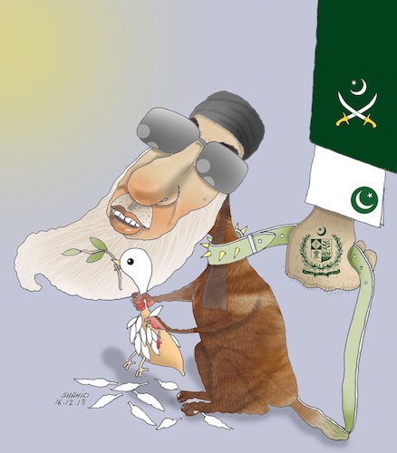 Cartoon: Hekmatyar rejected peace! (medium) by Shahid Atiq tagged afghanistan