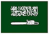 Cartoon: New Saudi flag ! (small) by Shahid Atiq tagged afghanistan,balkh,helmand,kabul,london,nangarhar,attack