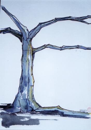 Cartoon: blue tree (medium) by gianlucasanvido tagged tree,