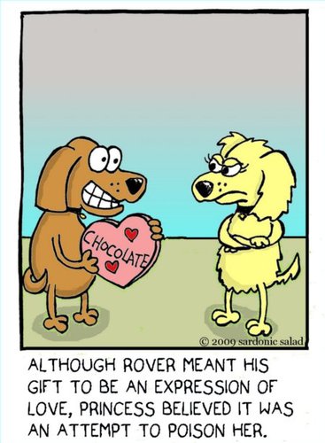 Cartoon: valentine (medium) by sardonic salad tagged dogs,chocolate,poison,love,sardonicsalad