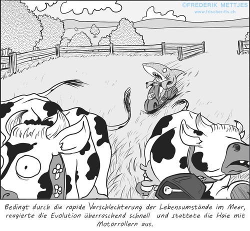 Cartoon: Evolution (medium) by Zapp313 tagged hai,evolution,kuh,kühe,vespa,motorroller,raubtier,bauernhof