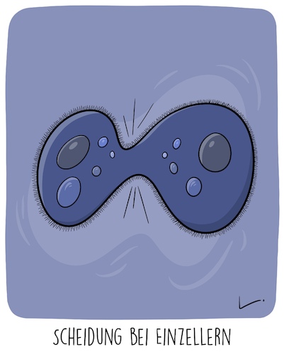 Cartoon: Trennung (medium) by SCHÖN BLÖD tagged scheidung,trennung,einzeller,zelle,scheidung,trennung,einzeller,zelle