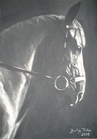 Cartoon: The black horse (medium) by bpatric tagged coal,drawing
