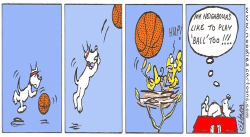 Cartoon: Hamish plays basketball!.. (medium) by noodles cartoons tagged hamish,scotty,dog,birds,neighbours,glastonbury,roosevelt