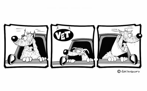 Cartoon: A trip to the vet (medium) by Eoinymac tagged dog,vet,car,pen,and,ink,
