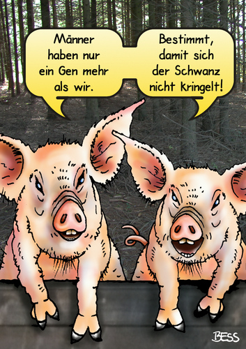 Cartoon: die Gene machens (medium) by besscartoon tagged männer,schwein,gene,genetik,schwanz,kringeln,bess,besscartoon