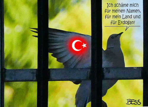 Cartoon: Türkentaube (medium) by besscartoon tagged tüerkentaube,gitter,türkei,präsident,erdogan,umbau,präsidialsystem,putschversuch,säuberung,verhaftungen,entlassungen,abbau,grundrechte,meinungsfreiheit,pressefreiheit,politik,gewalt,demokratie,sultan,scham,bess,besscartoon