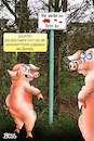Cartoon: Diskriminierung (small) by besscartoon tagged diskriminierung,antidiskriminierungsstelle,politik,bund,umweltschutz,umwelt,schwein,sau,sauerei,umweltverschmutzung,abfall,müll,bess,besscartoon