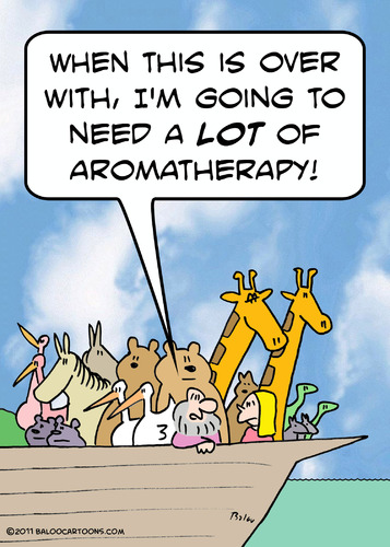 Cartoon: aromatherapy noah ark animals (medium) by rmay tagged aromatherapy,noah,ark,animals