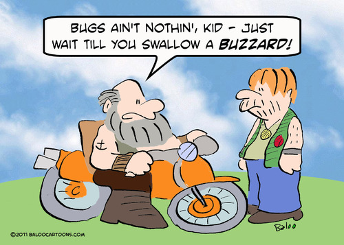 Cartoon: biker swallow bugs buzzard (medium) by rmay tagged biker,swallow,bugs,buzzard