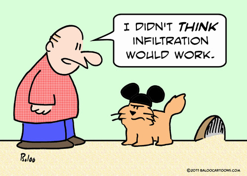 Cartoon: cat mouse ears infiltration (medium) by rmay tagged cat,mouse,ears,infiltration
