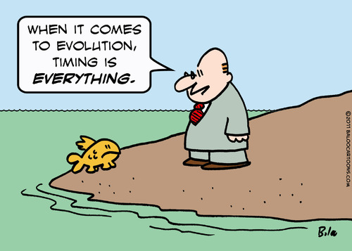 Cartoon: evolution timing fish (medium) by rmay tagged evolution,timing,fish
